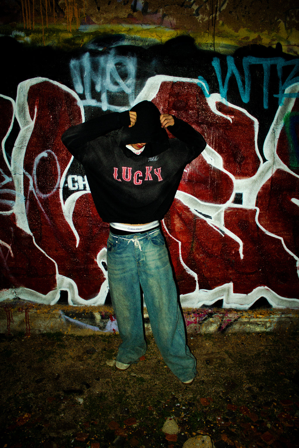 "Lucky" Cropped Hoodie