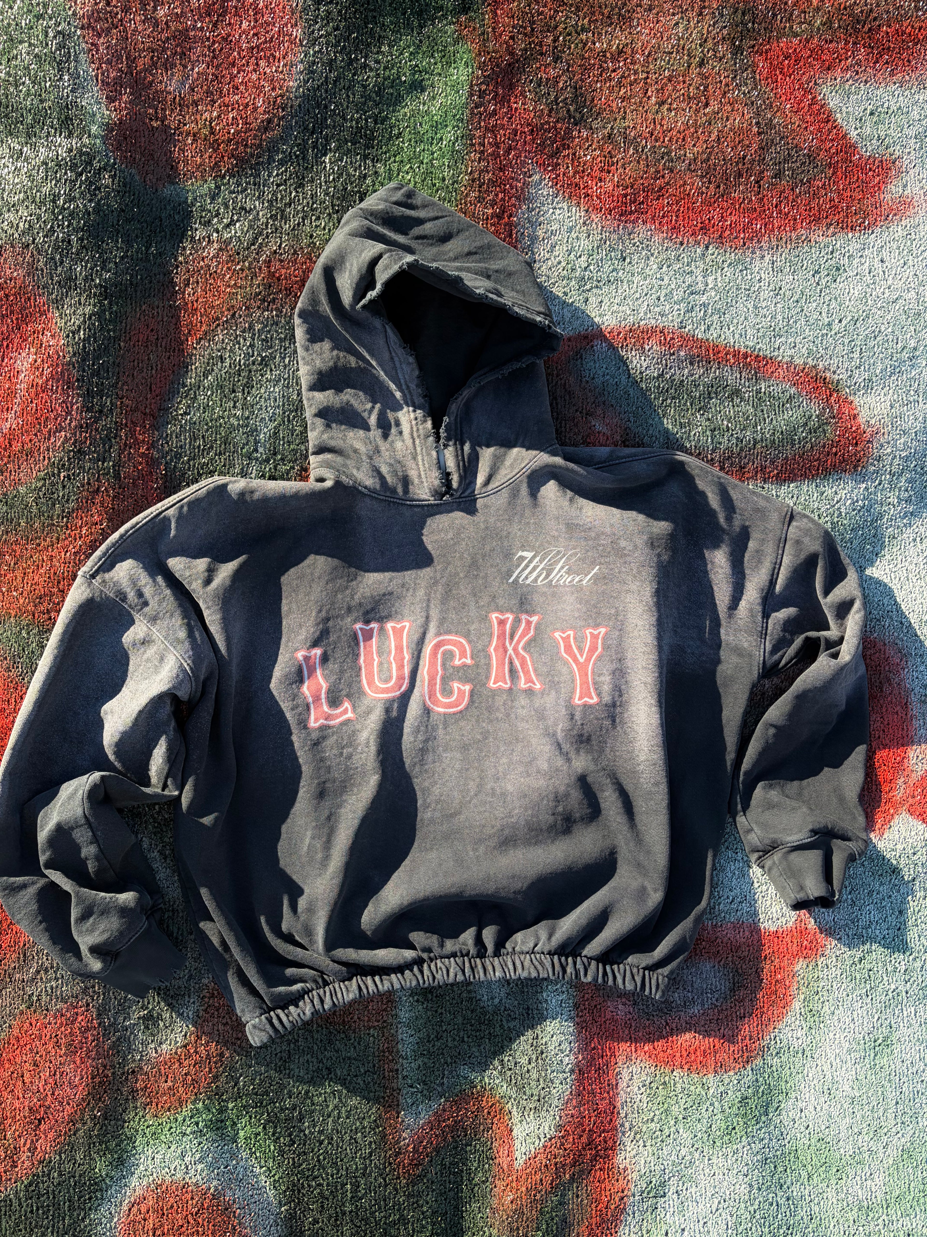 "Lucky" Cropped Hoodie